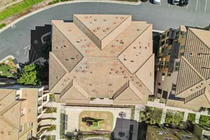 Pandorea Terrace-S0703-051.jpg