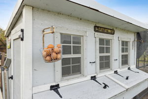 Chicken Coop