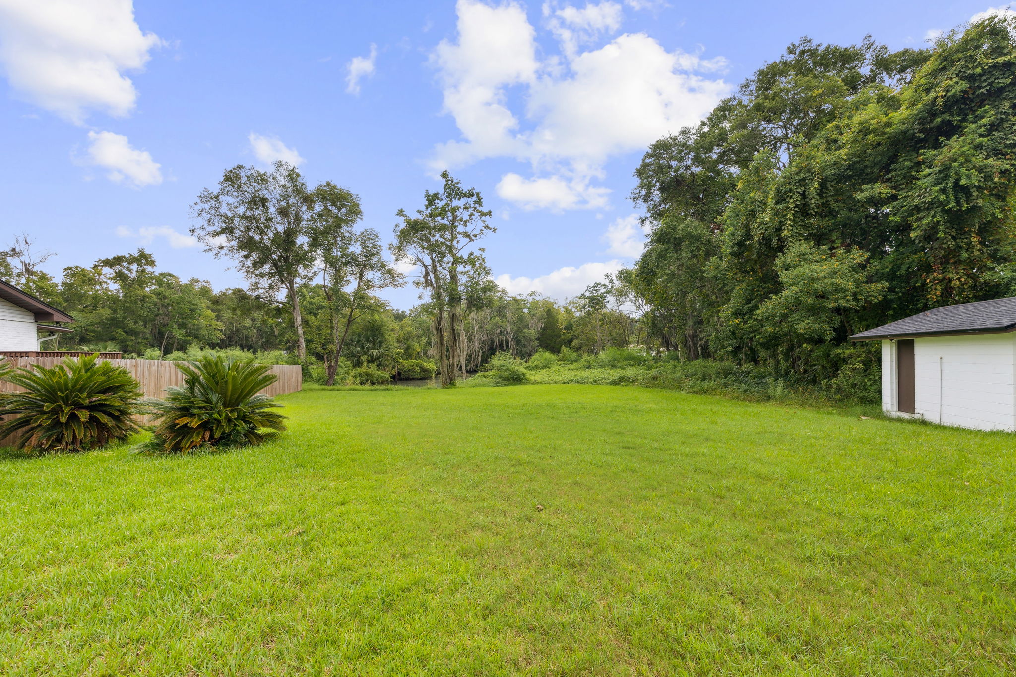Backyard