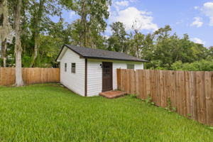 Backyard