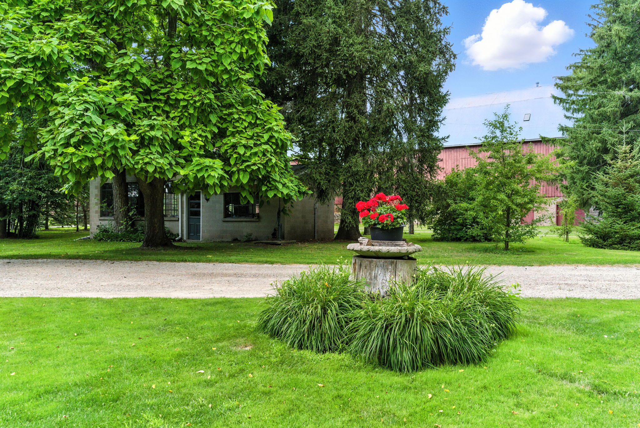  Photo 25