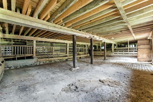 Photo 36