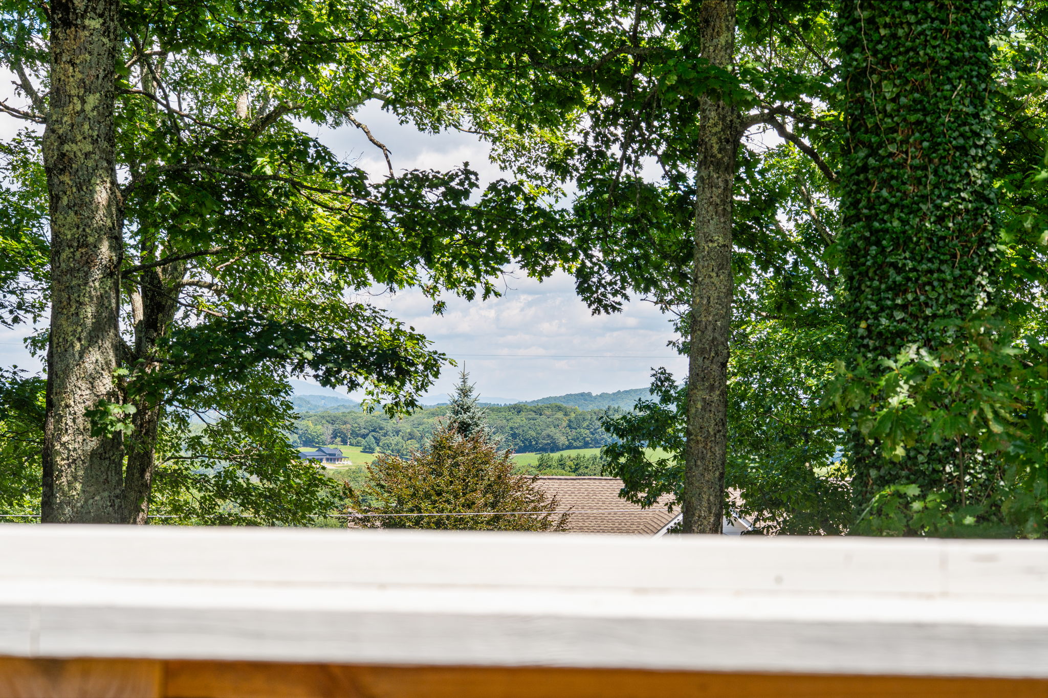View from the front balcony towards the Parkway and beyond