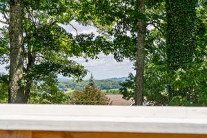 View from the front balcony towards the Parkway and beyond