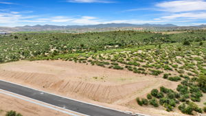 Aerial (2)