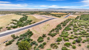 Aerial (3)