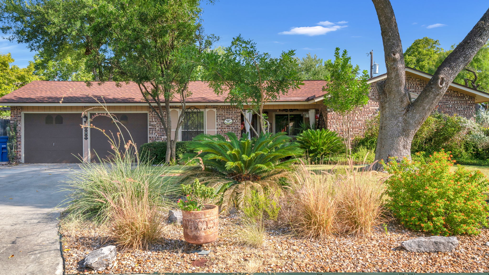 Front Yard