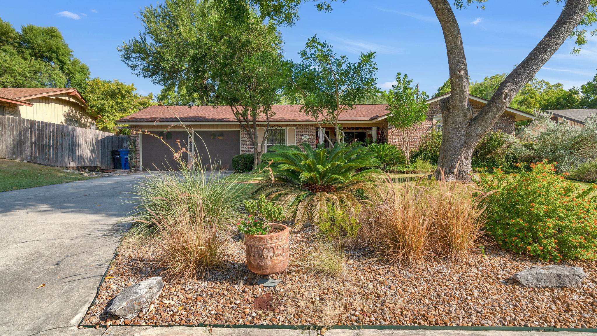Front Yard