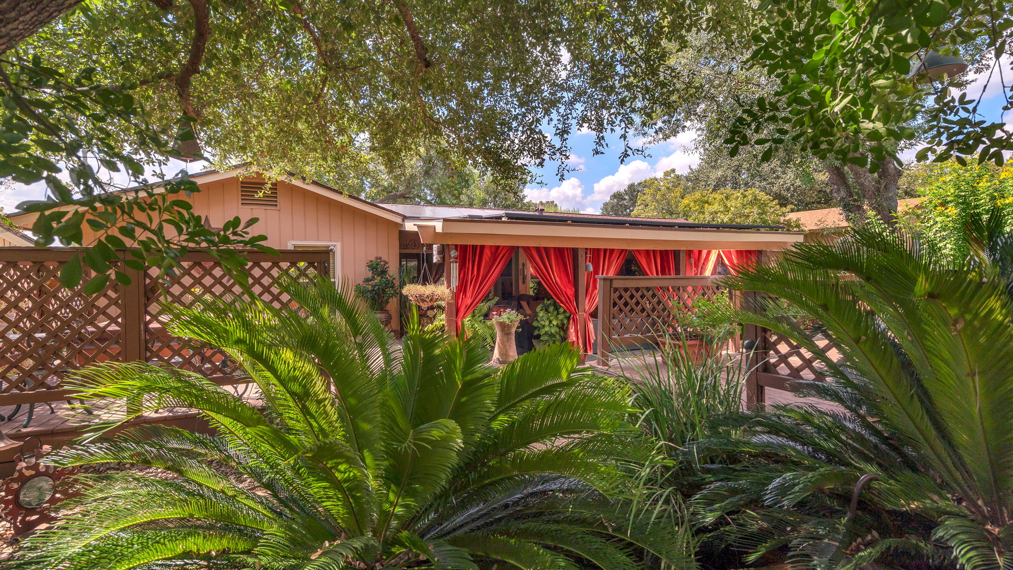 Backyard View