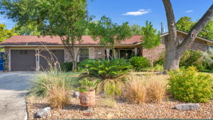 Front Yard