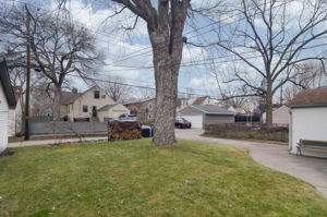  Photo 43