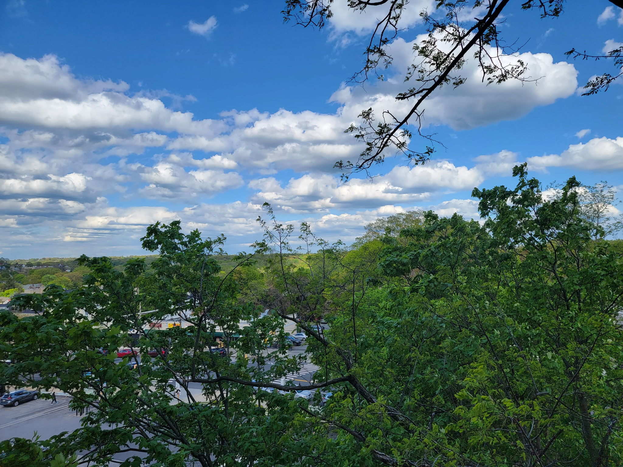 5615 Netherland Ave, Bronx, NY 10471, USA Photo 20