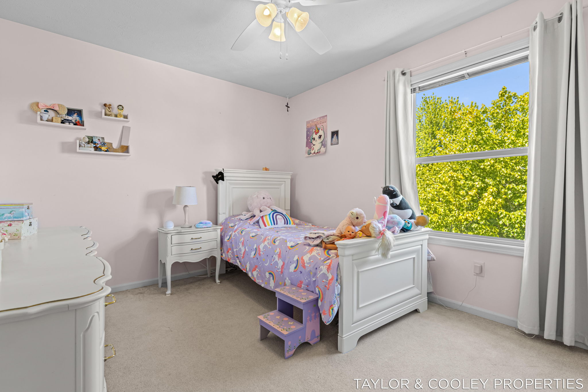  Photo 47
