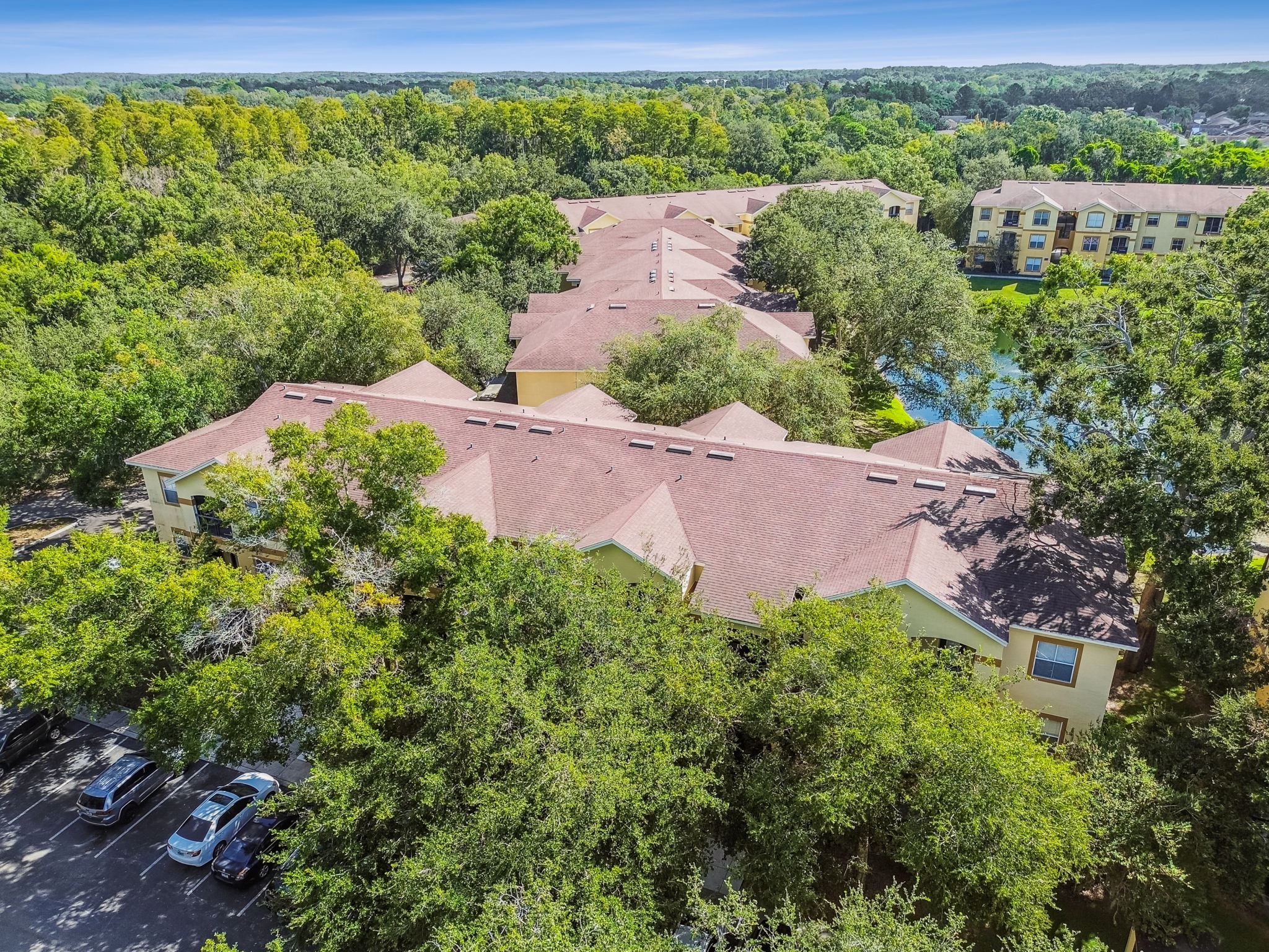 DJI_0010