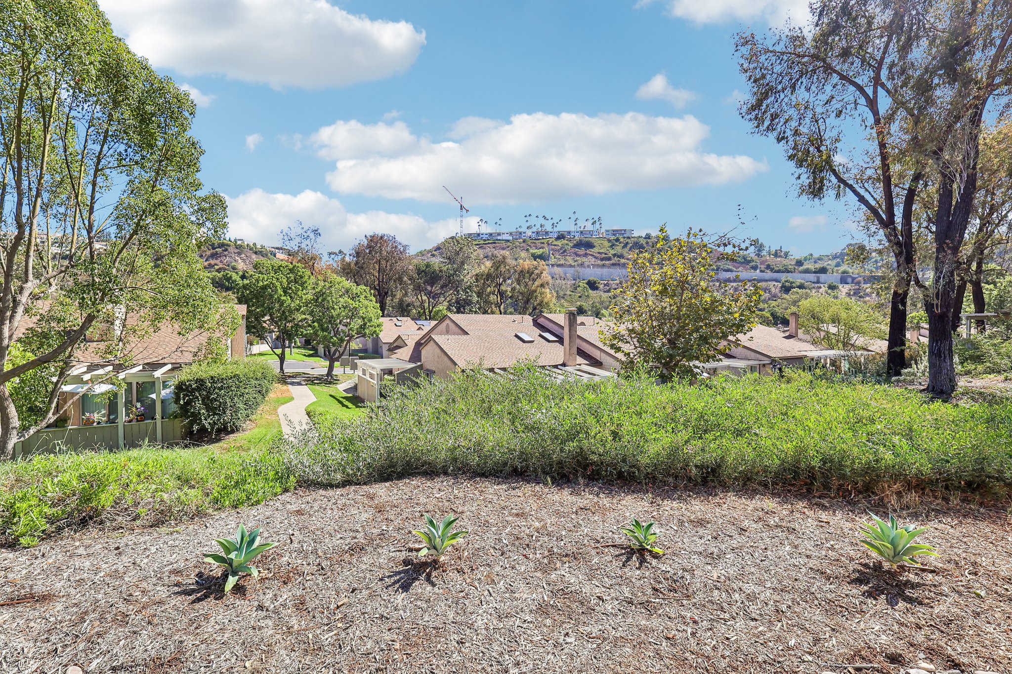 Adobe Falls Rd unit d-S2309-043.jpg