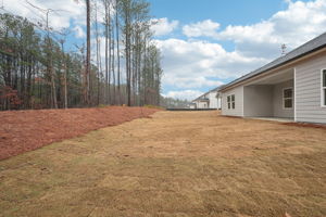 Atlanta - Vines at Mill Creek - 5617 Cabernet Ln, Braselton, GA 30517 - 051