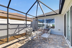 Expansive Paver Birdcage