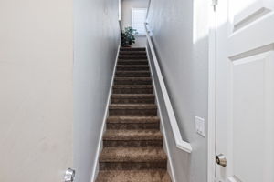  Photo 52