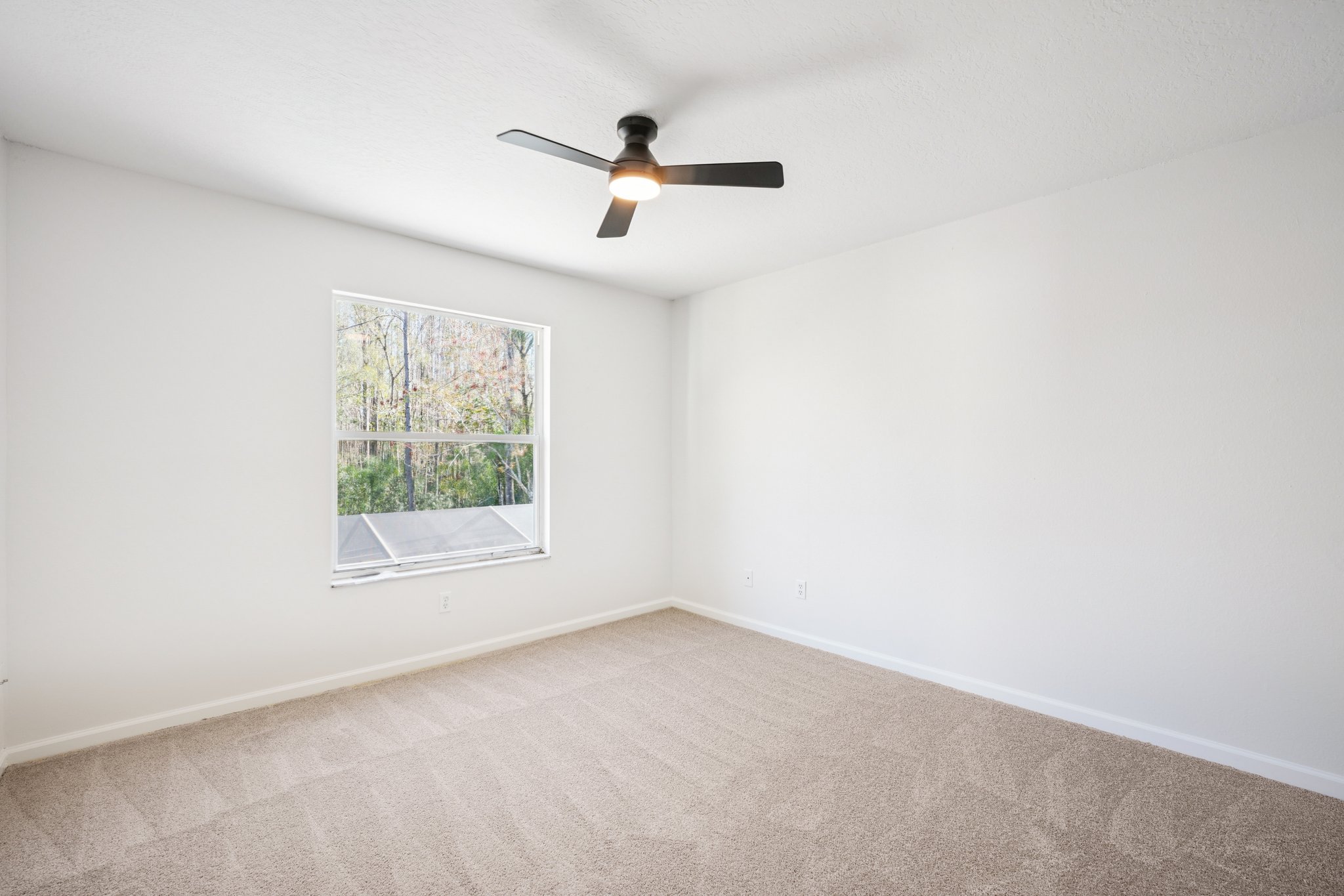 Essex Ct-S2402-044.jpg