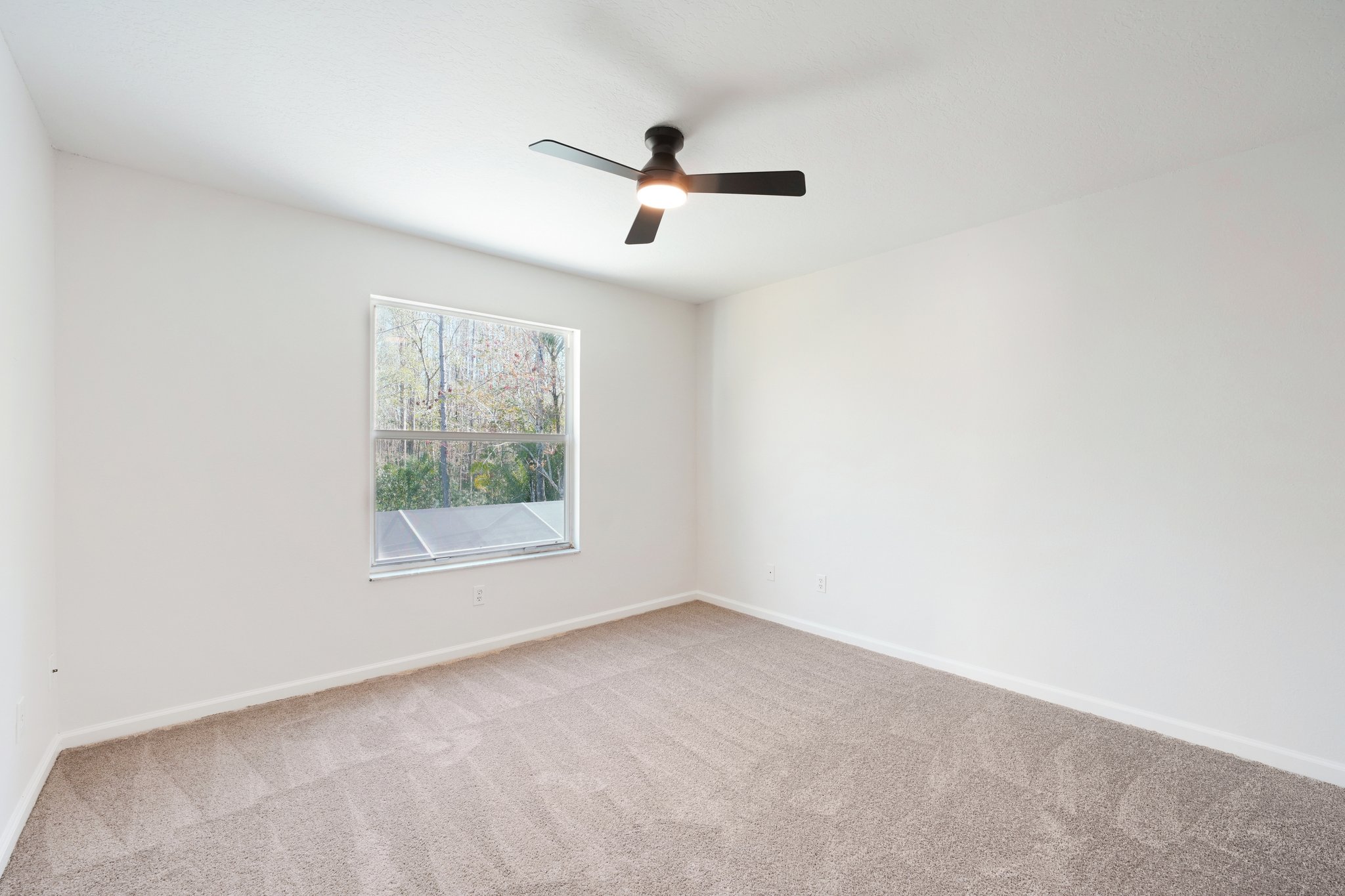 Essex Ct-S2402-045.jpg