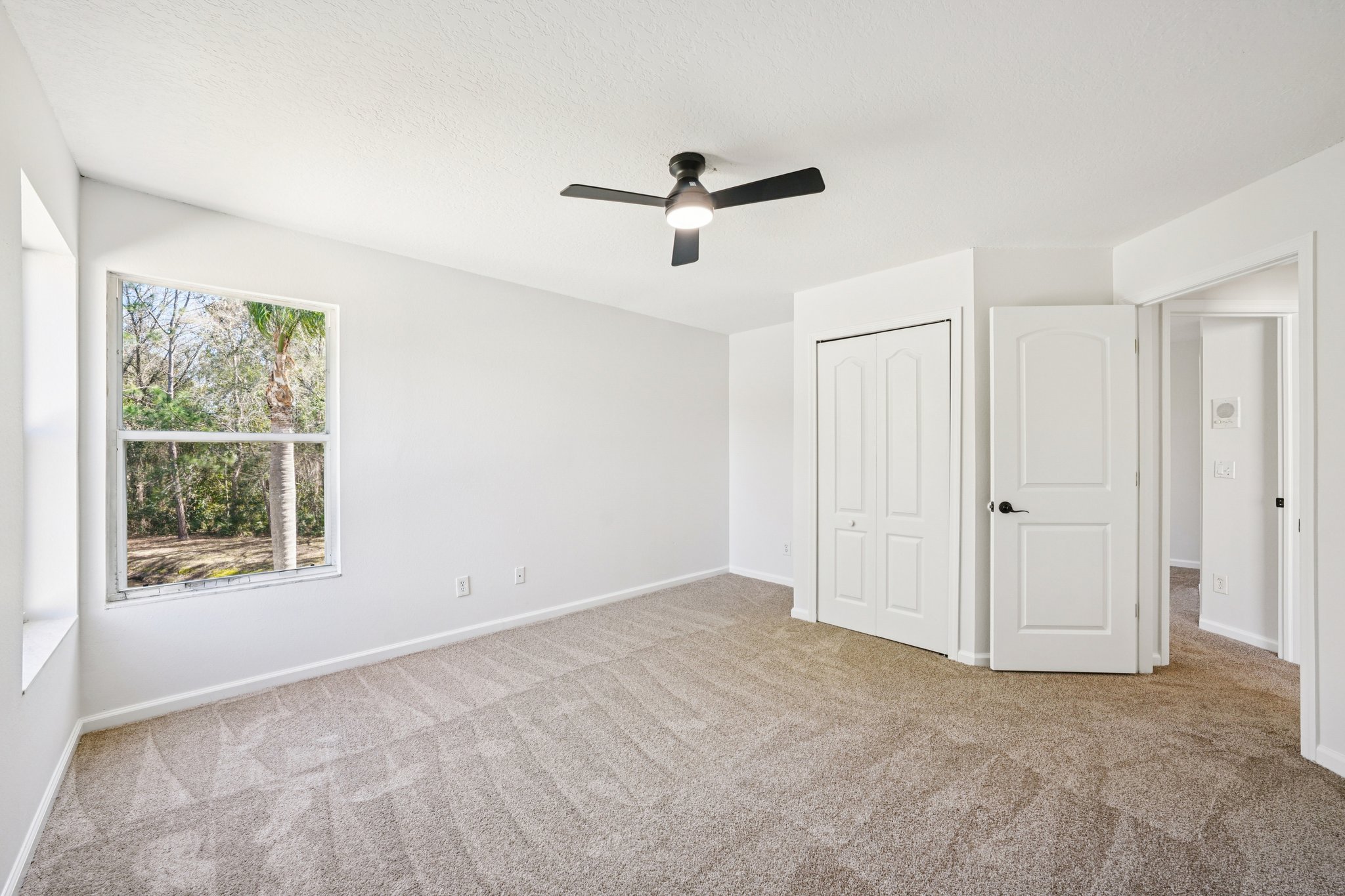 Essex Ct-S2402-050.jpg