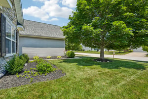 Ralfe Rd-S1507-040.jpg