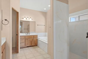 Primary Bathroom (3)
