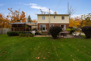  Photo 38