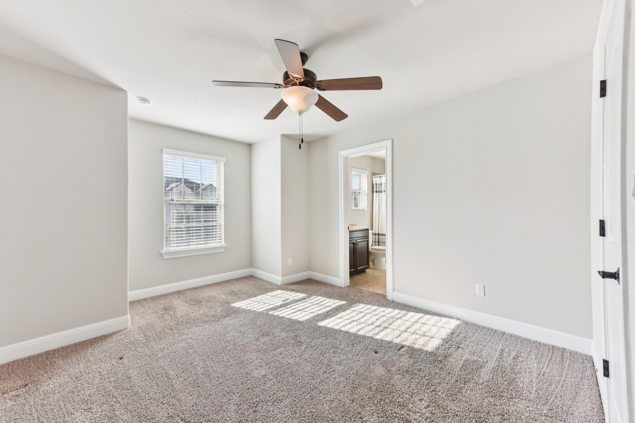 Siragusa Dr-S0301-028.jpg