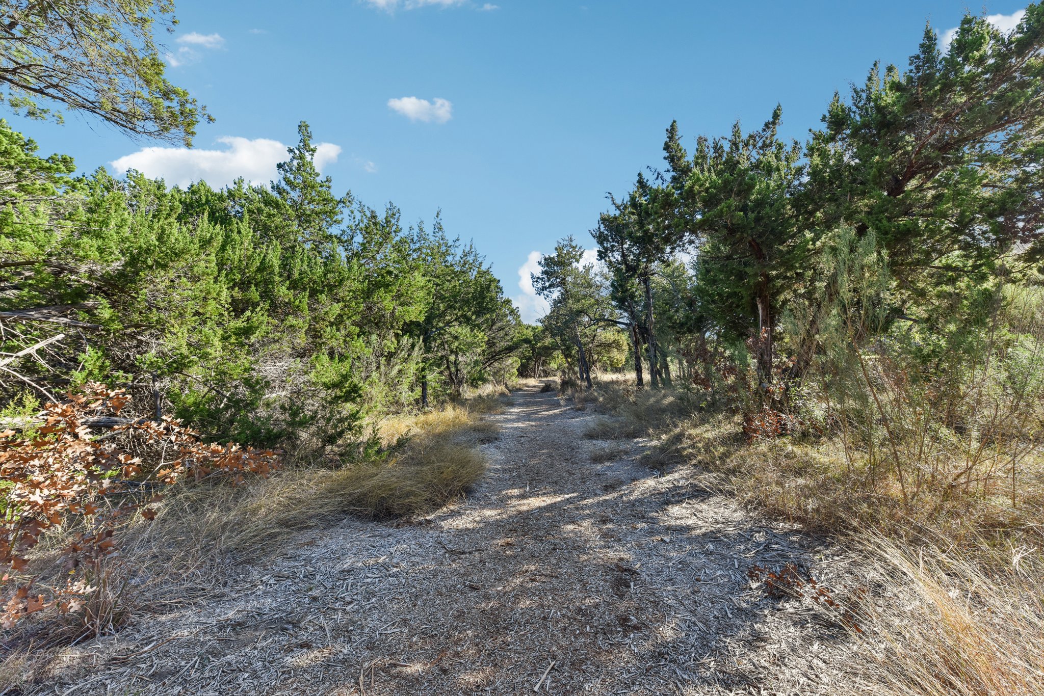 Siragusa Dr-S0301-068.jpg