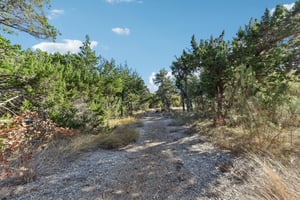 Siragusa Dr-S0301-068.jpg