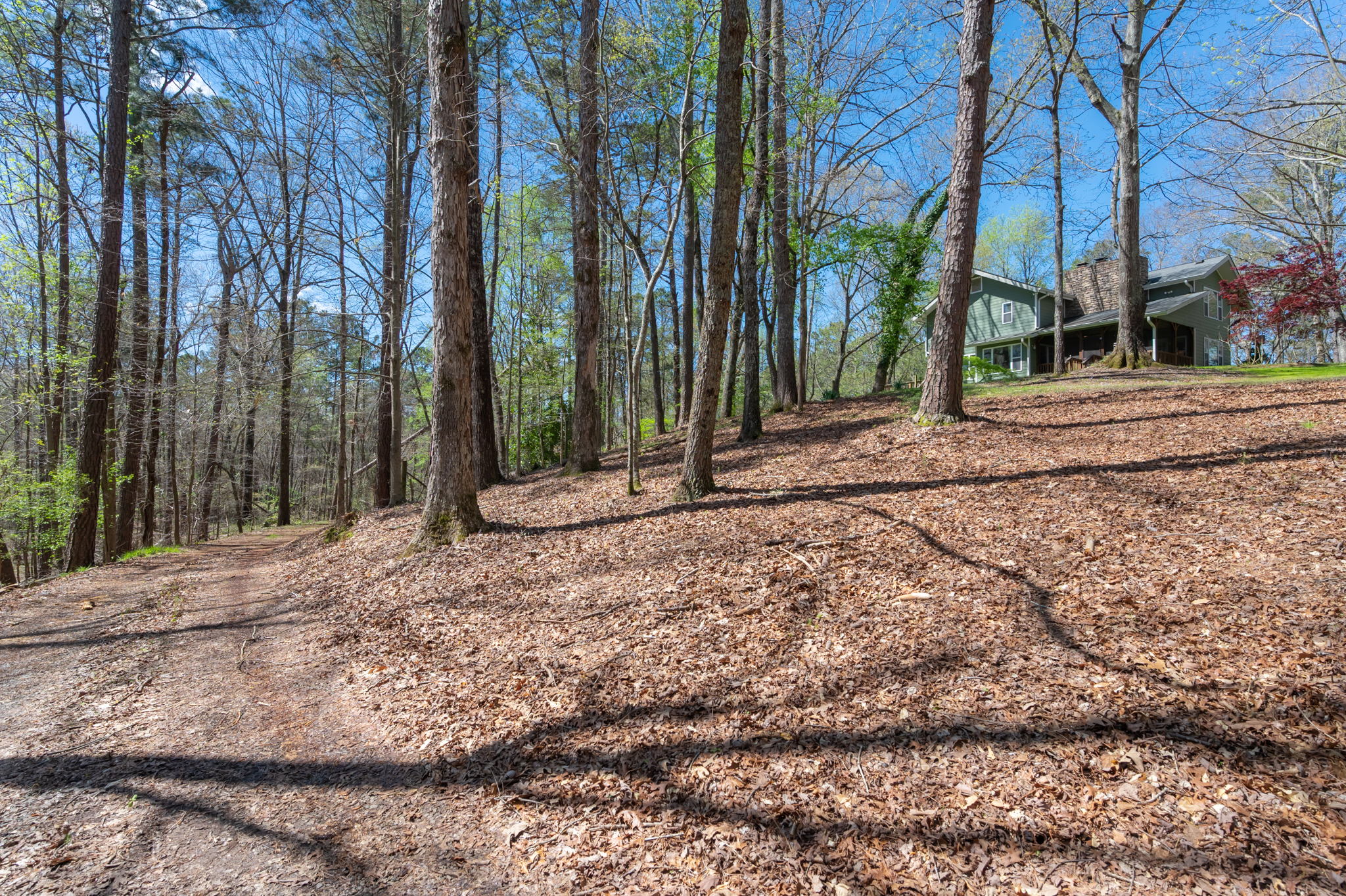 563 Green Ridge Rd SE, Cartersville, GA 30120, USA Photo 47