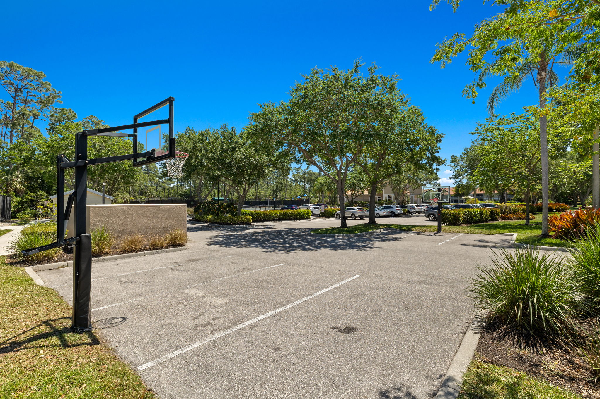 Amenity - Basketball Court
