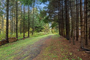  Photo 52
