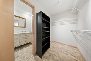 master closet 1
