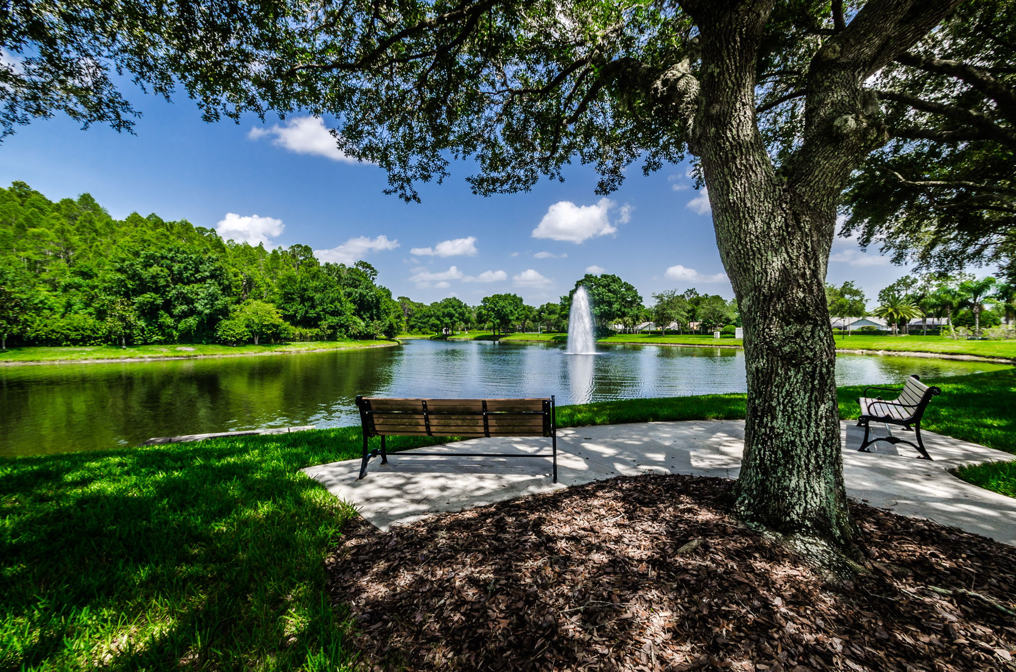 16-Ridgemoor Central Park