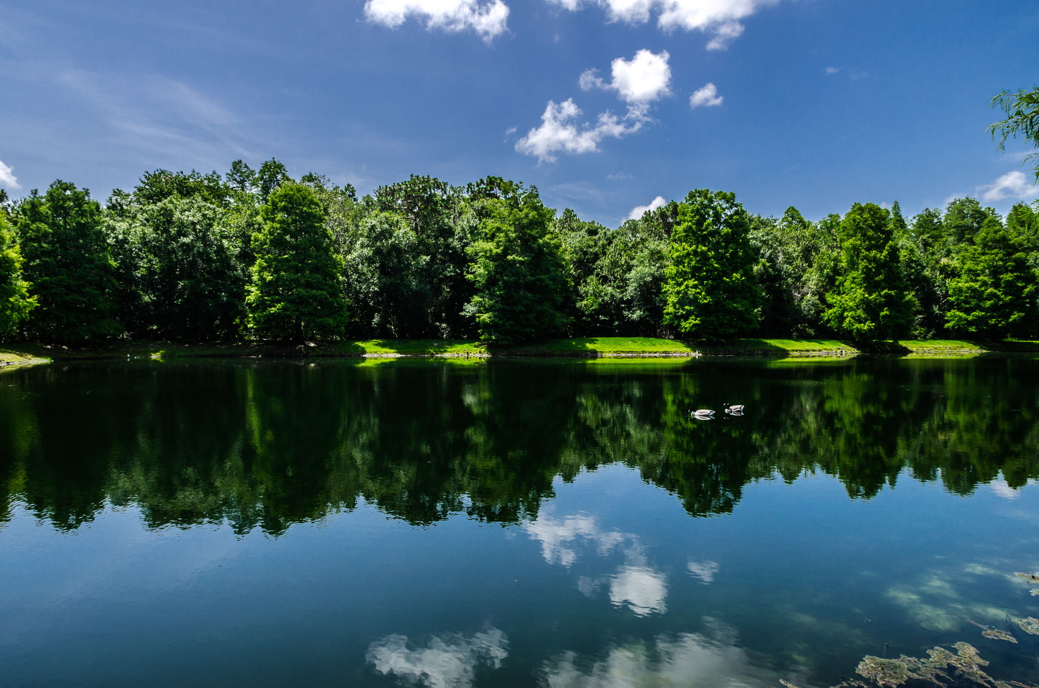 19-Ridgemoor Central Park