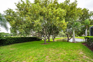 Backyard4