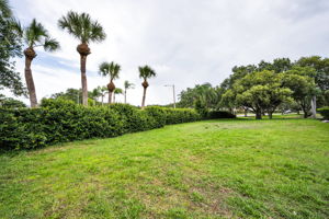 Backyard7