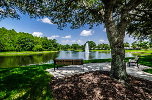 16-Ridgemoor Central Park