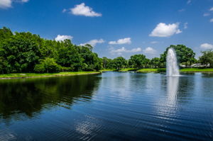18-Ridgemoor Central Park