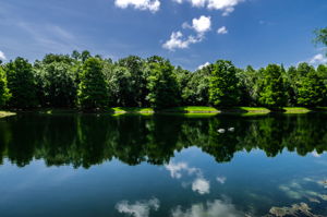 19-Ridgemoor Central Park