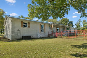  Photo 41