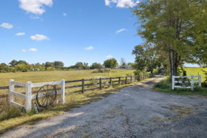  Photo 49
