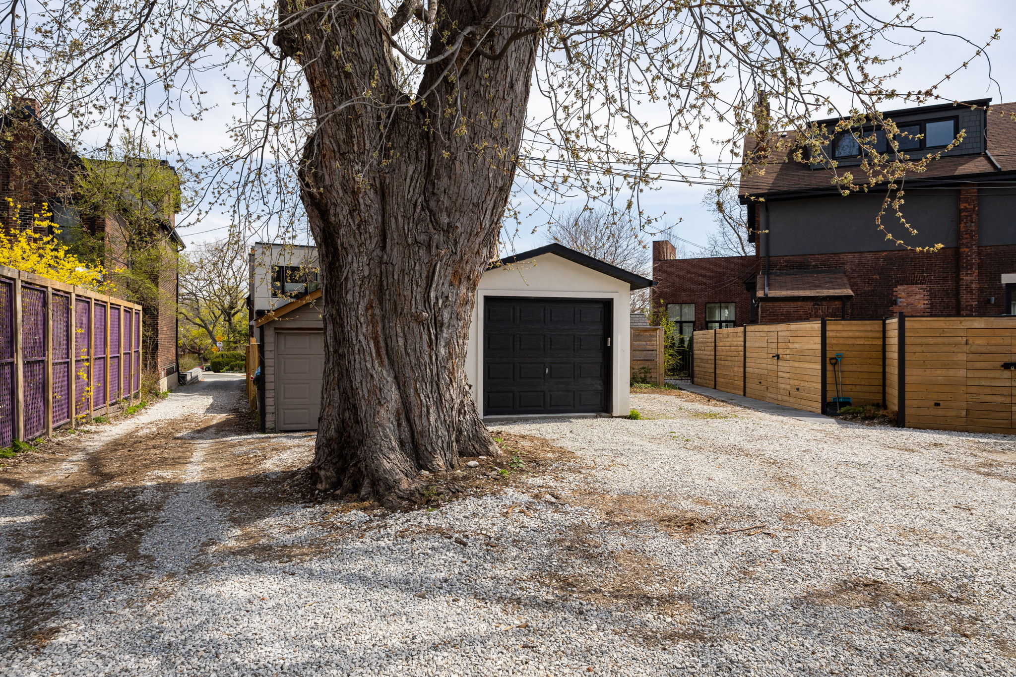 Toronto property showcase — delivered property photograph 66