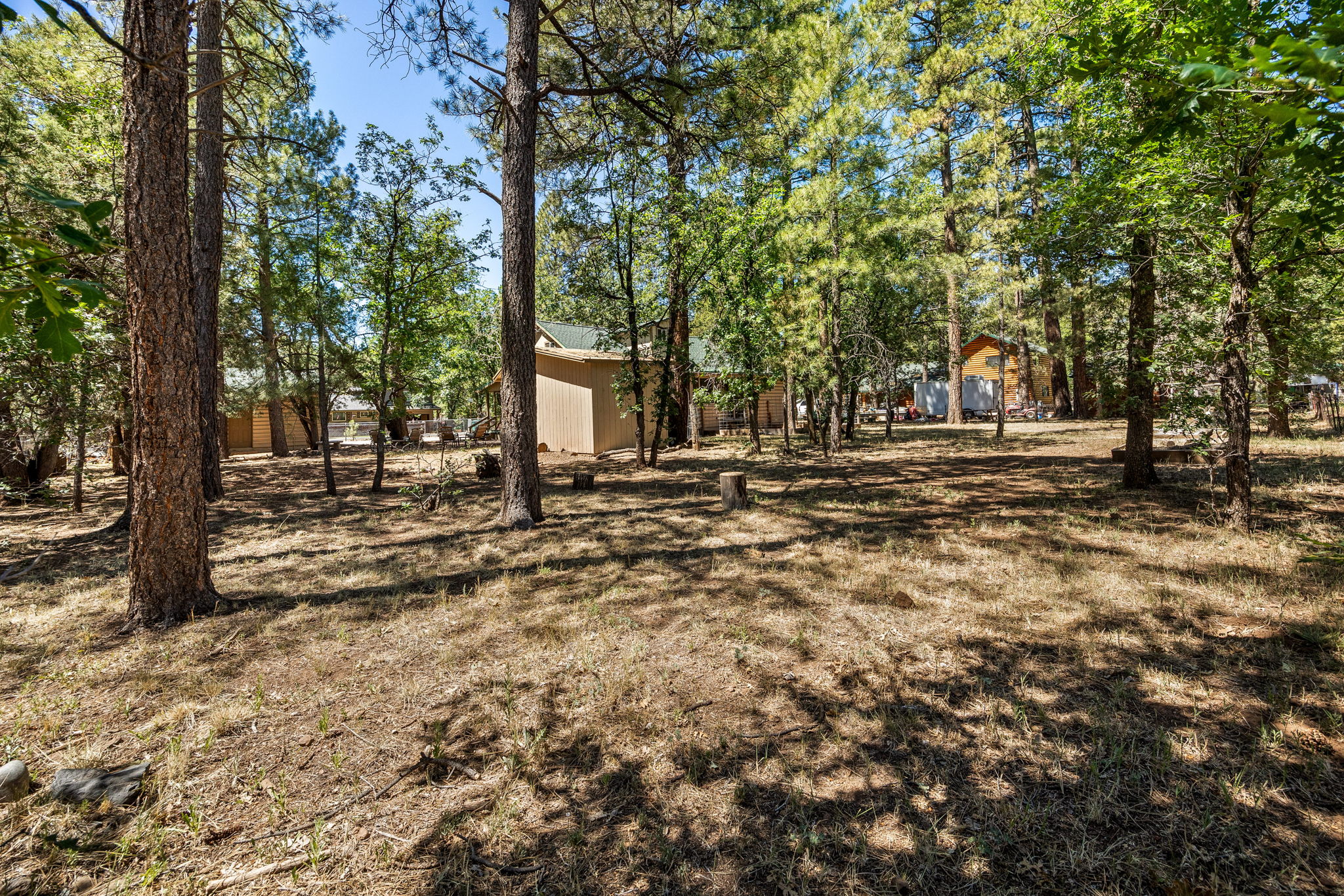  Photo 31