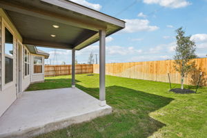  Photo 41