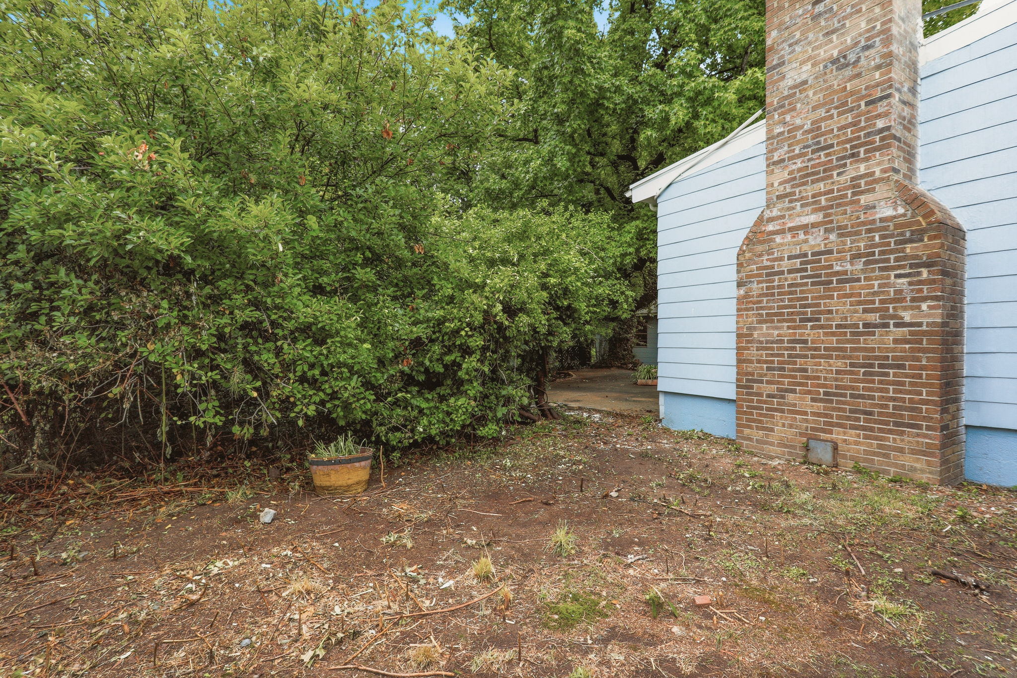 29-Backyard