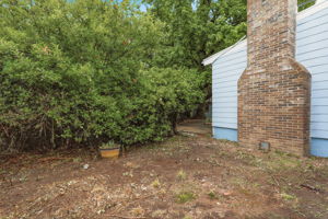 29-Backyard