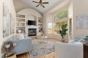 Living Room 1